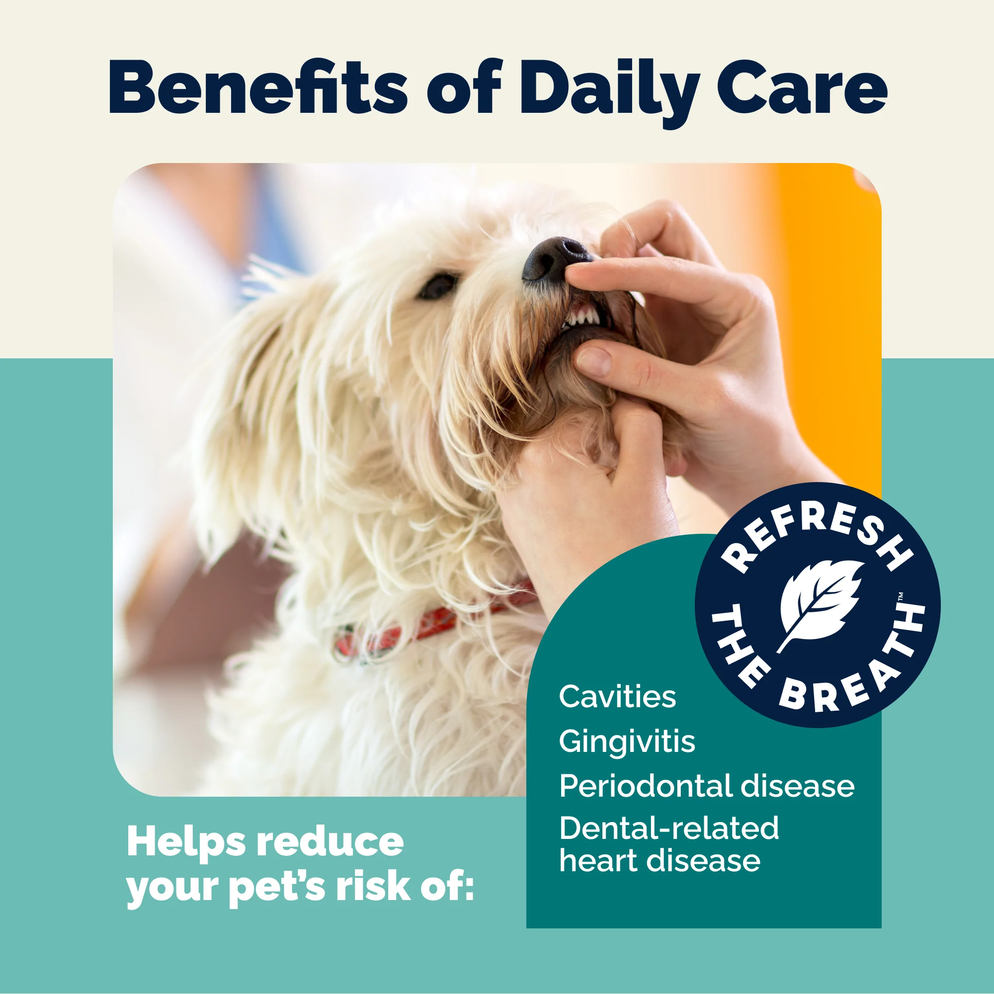 DentaBliss Daily Dental Wipes Finger Mitts - Image 8