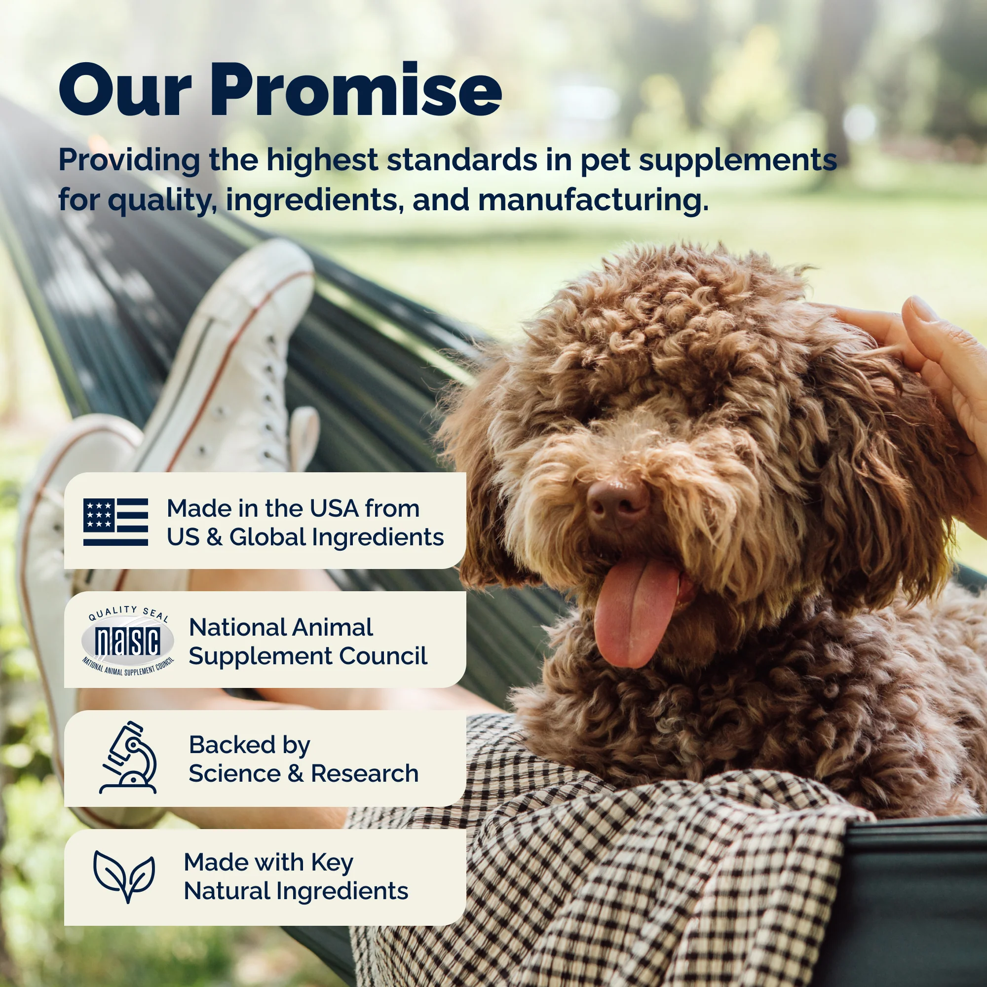DermaBliss® Seasonal Allergy Health & Immune Soft Chews for Dogs - Image 10