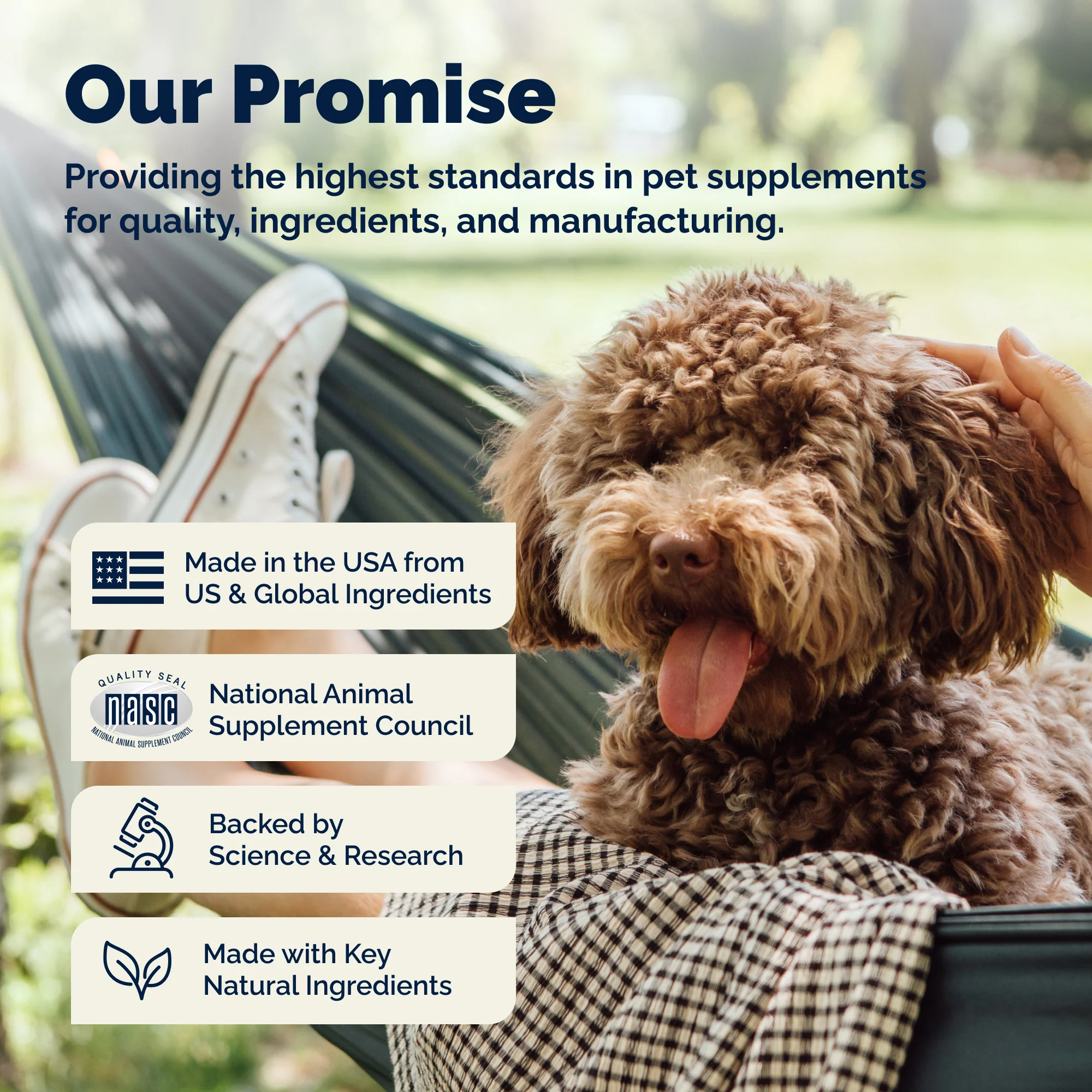 DermaBliss™ Seasonal Allergy Health & Immune Soft Chews for Dogs - Image 10