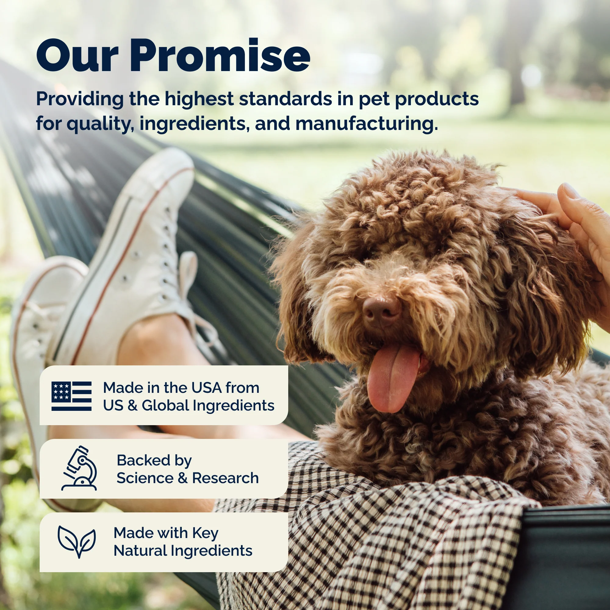Dermabliss™ Advanced Vet Strength Medicated Shampoo - Image 10