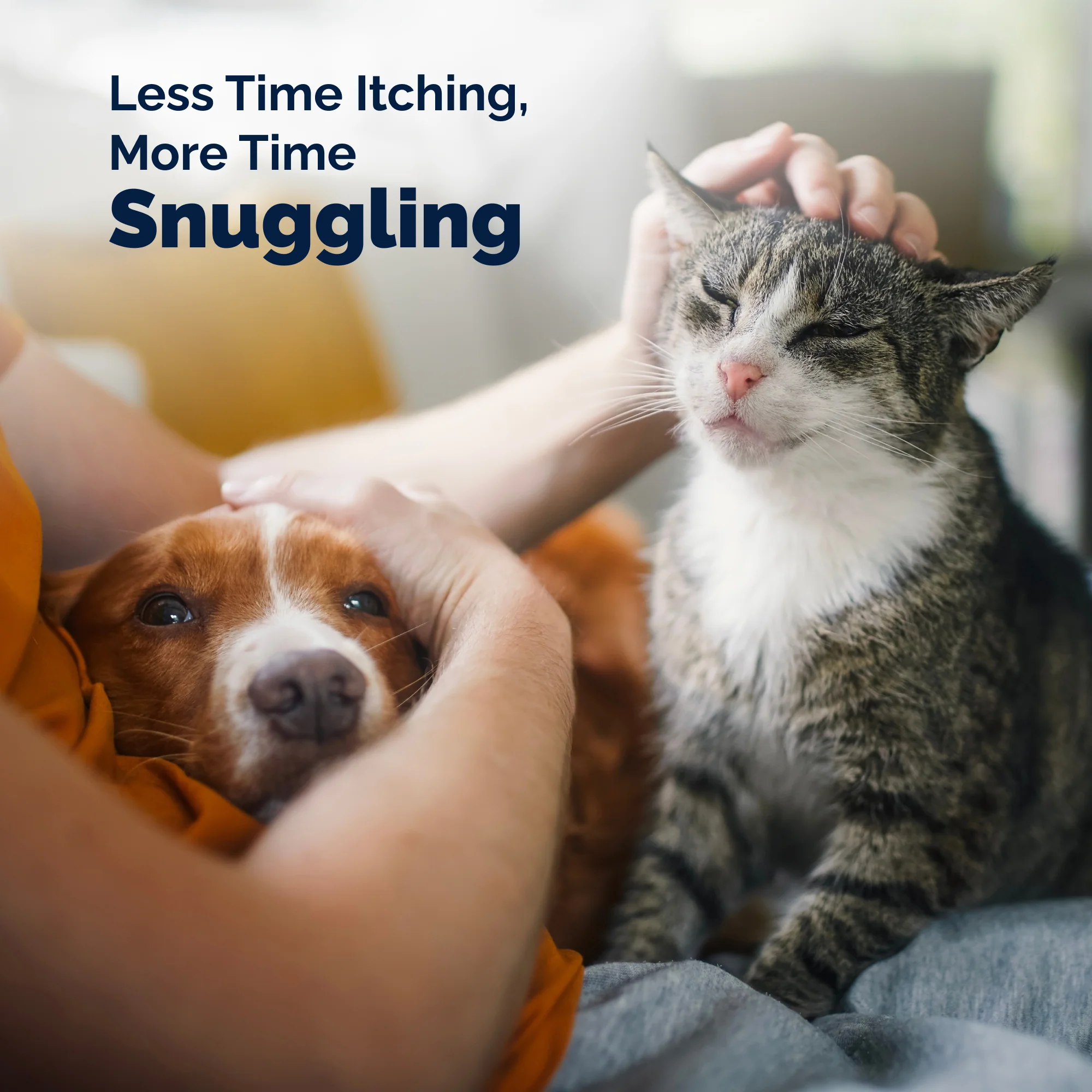 DermaBliss™ Advanced Vet Strength Medicated Wipes - Image 9