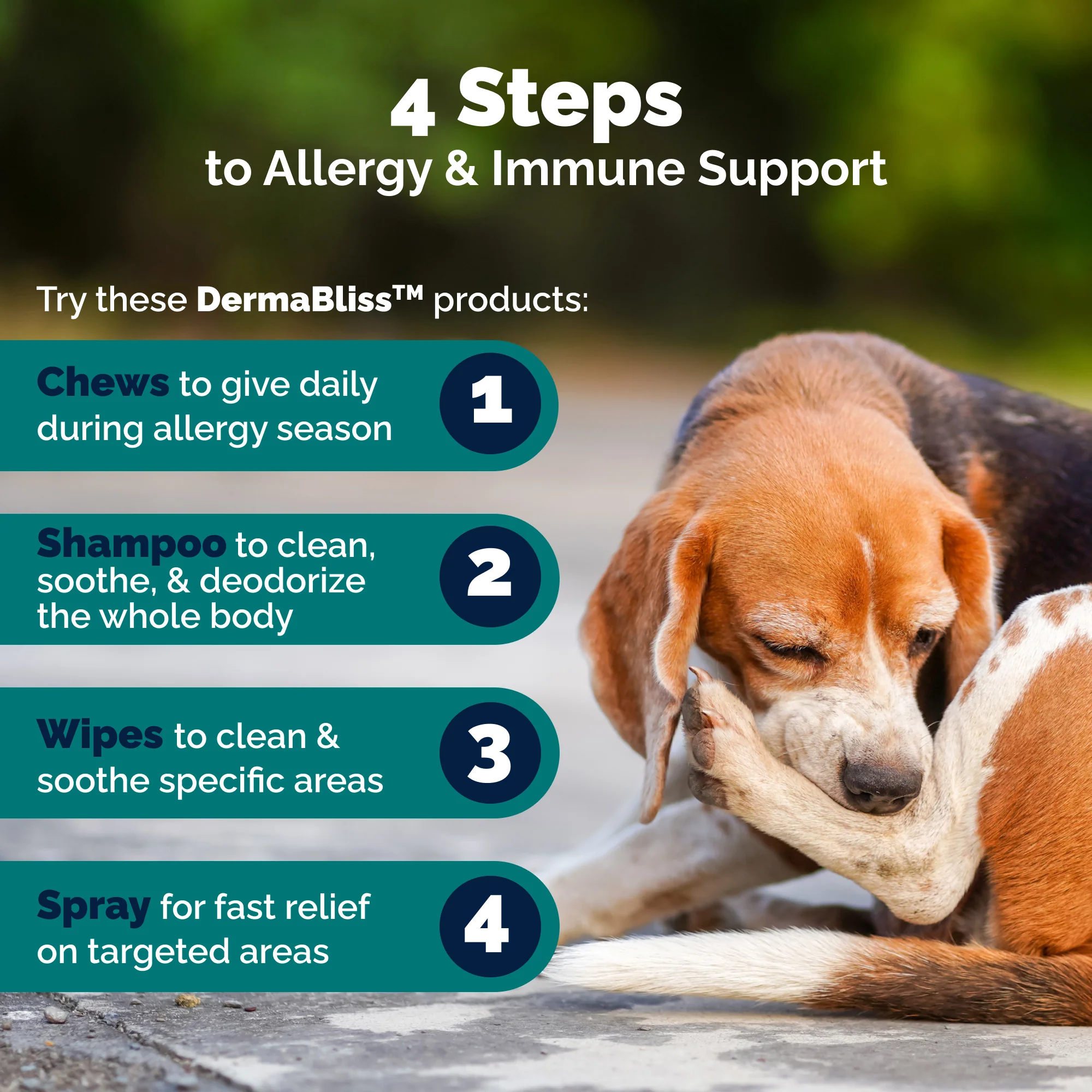 DermaBliss™ Advanced Vet Strength Anti-Itch & Allergy Relief Spray - Image 7