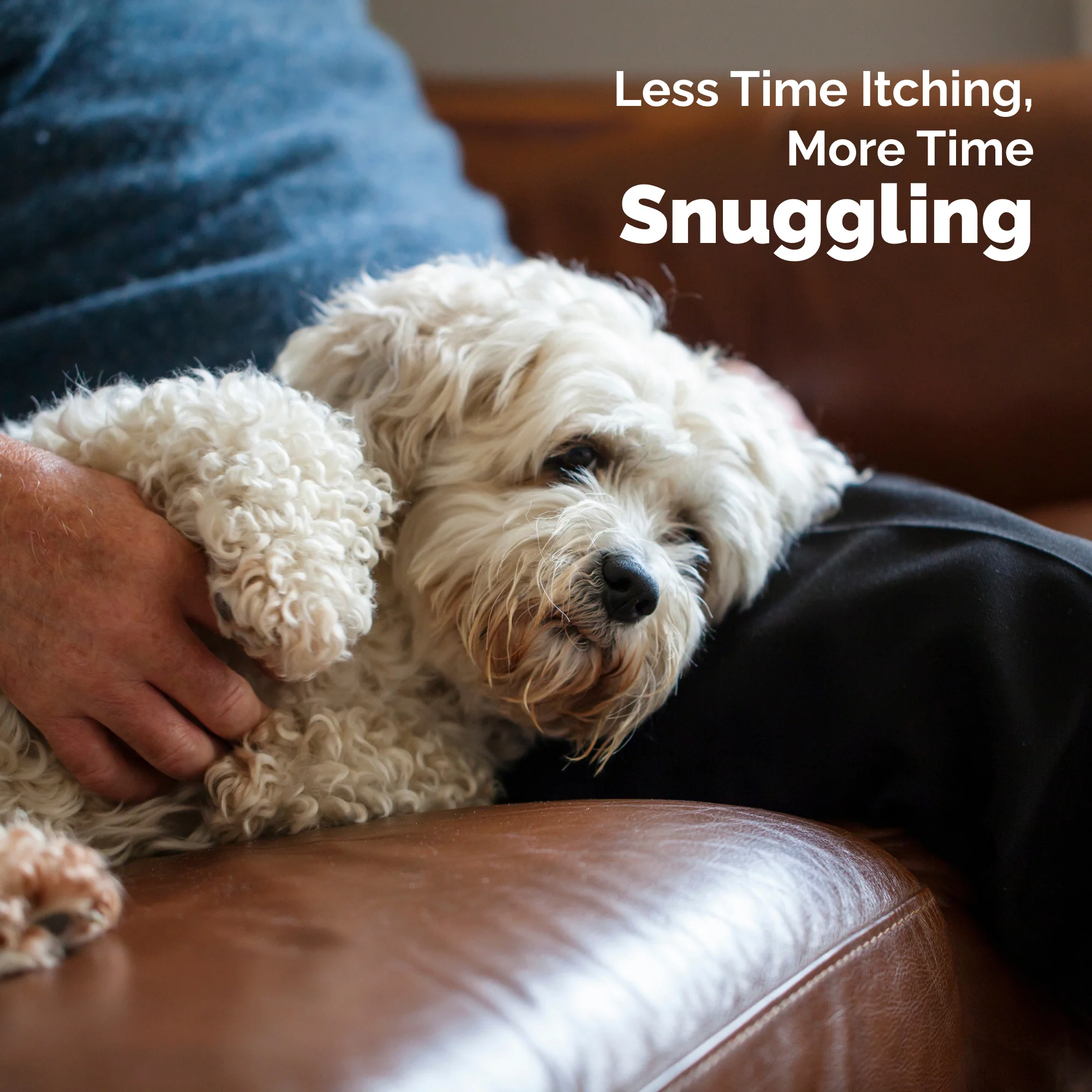 DermaBliss™ Advanced Vet Strength Face Cleansing Wipes - Image 6