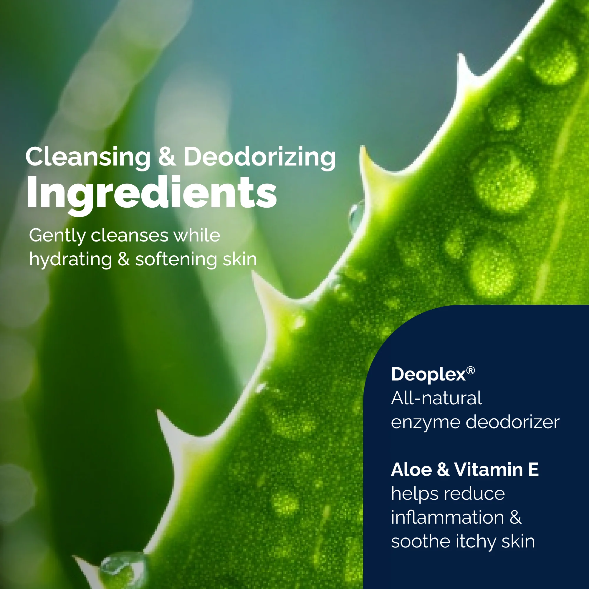 DermaBliss® Grooming Body Wipes - Image 7