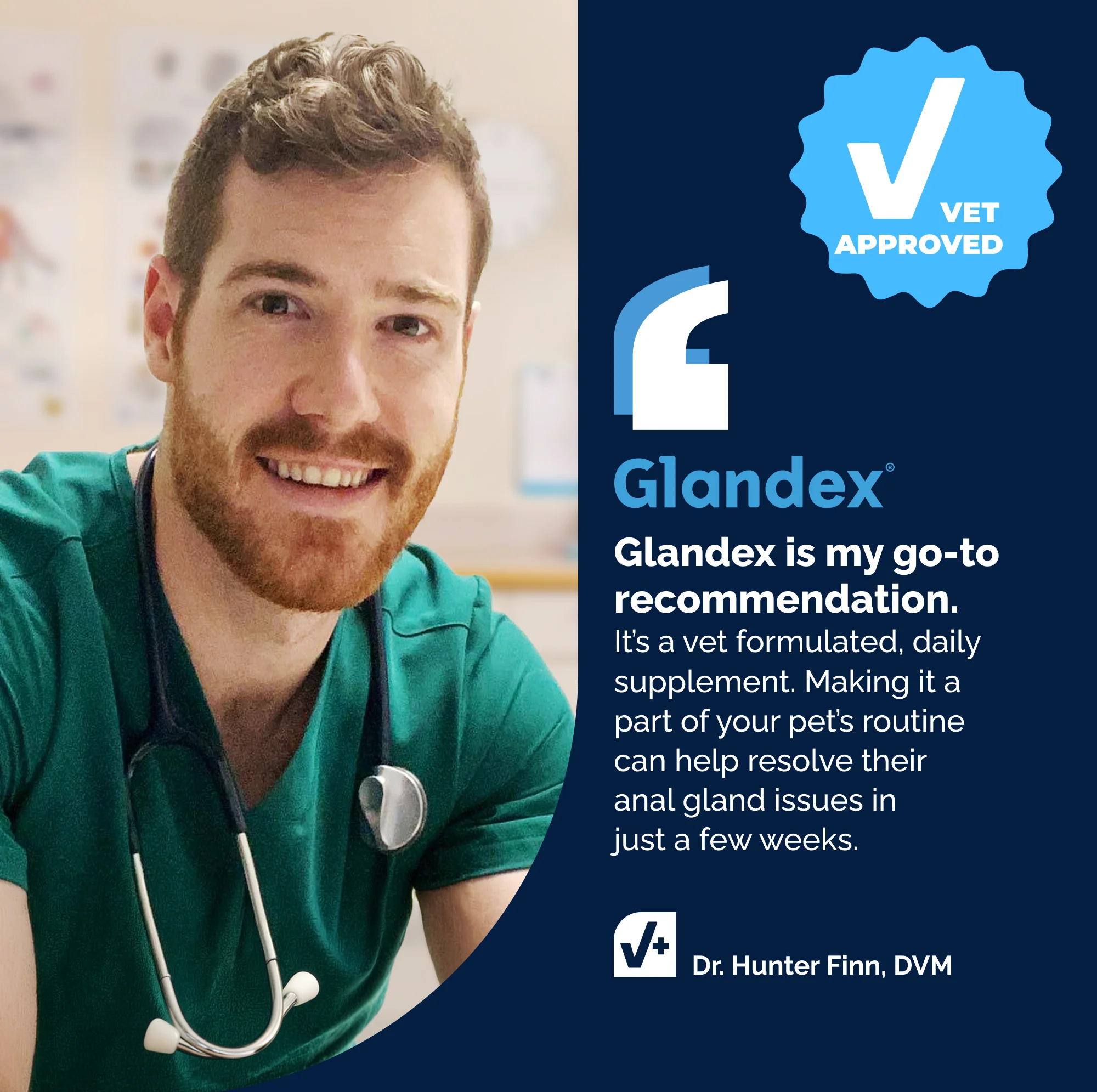 Glandex® Advanced Vet Strength Anal Gland Health Soft Chews for Dogs - Image 6
