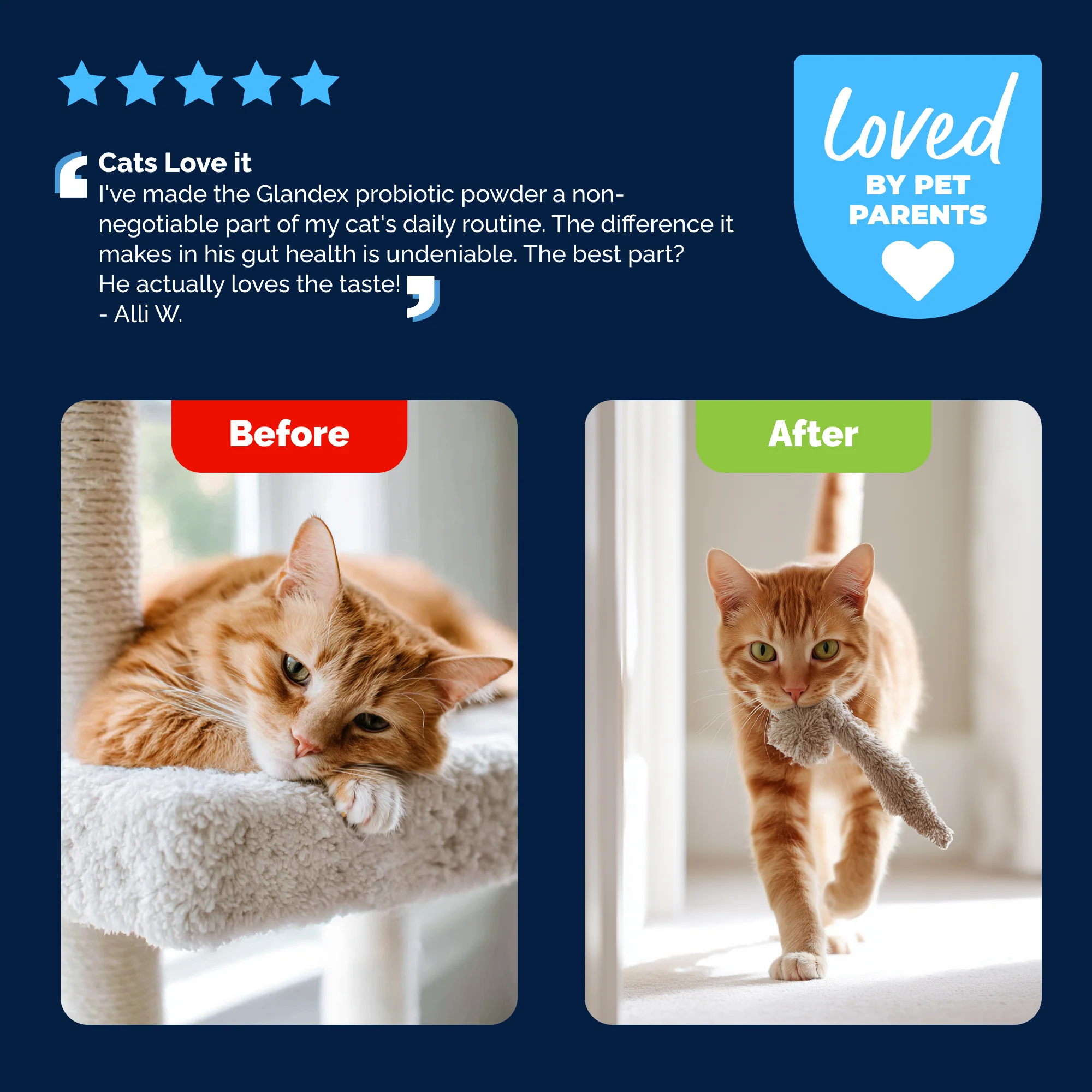 Glandex Daily Prebiotic & Probiotic Powder for Cats - Image 8