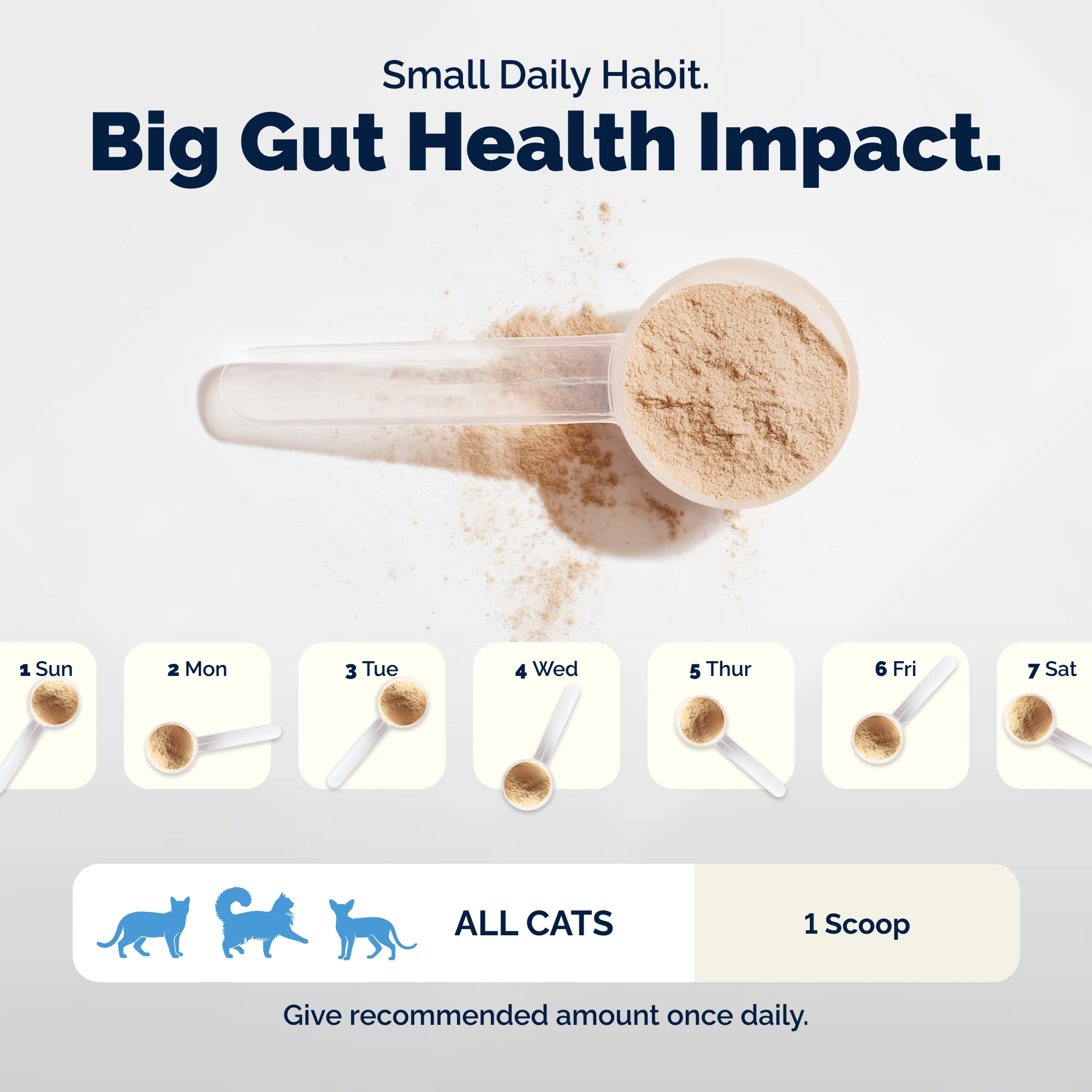 Glandex Daily Prebiotic & Probiotic Powder for Cats - Image 9