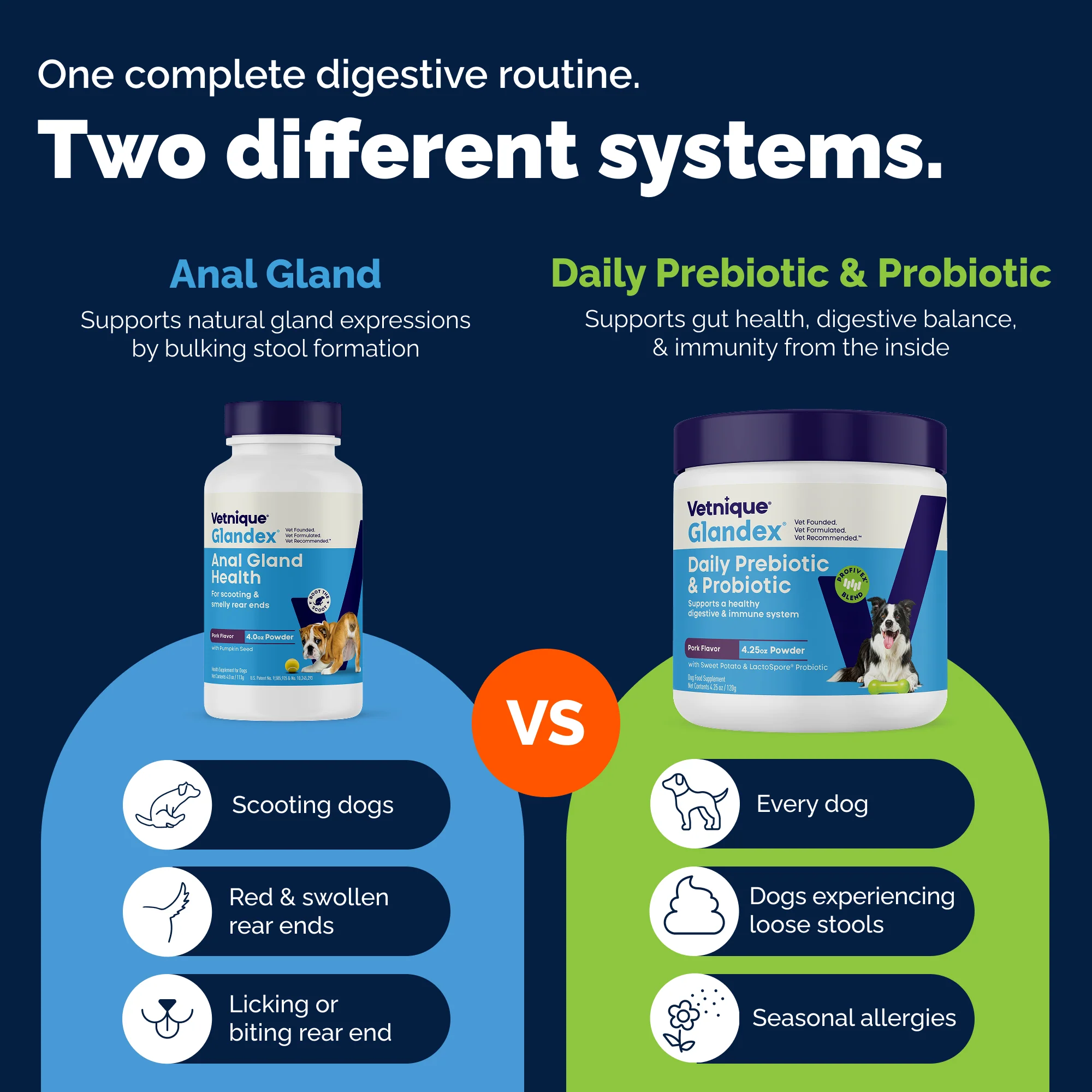 Glandex® Daily Prebiotic & Probiotic Powder for Dogs - Image 11