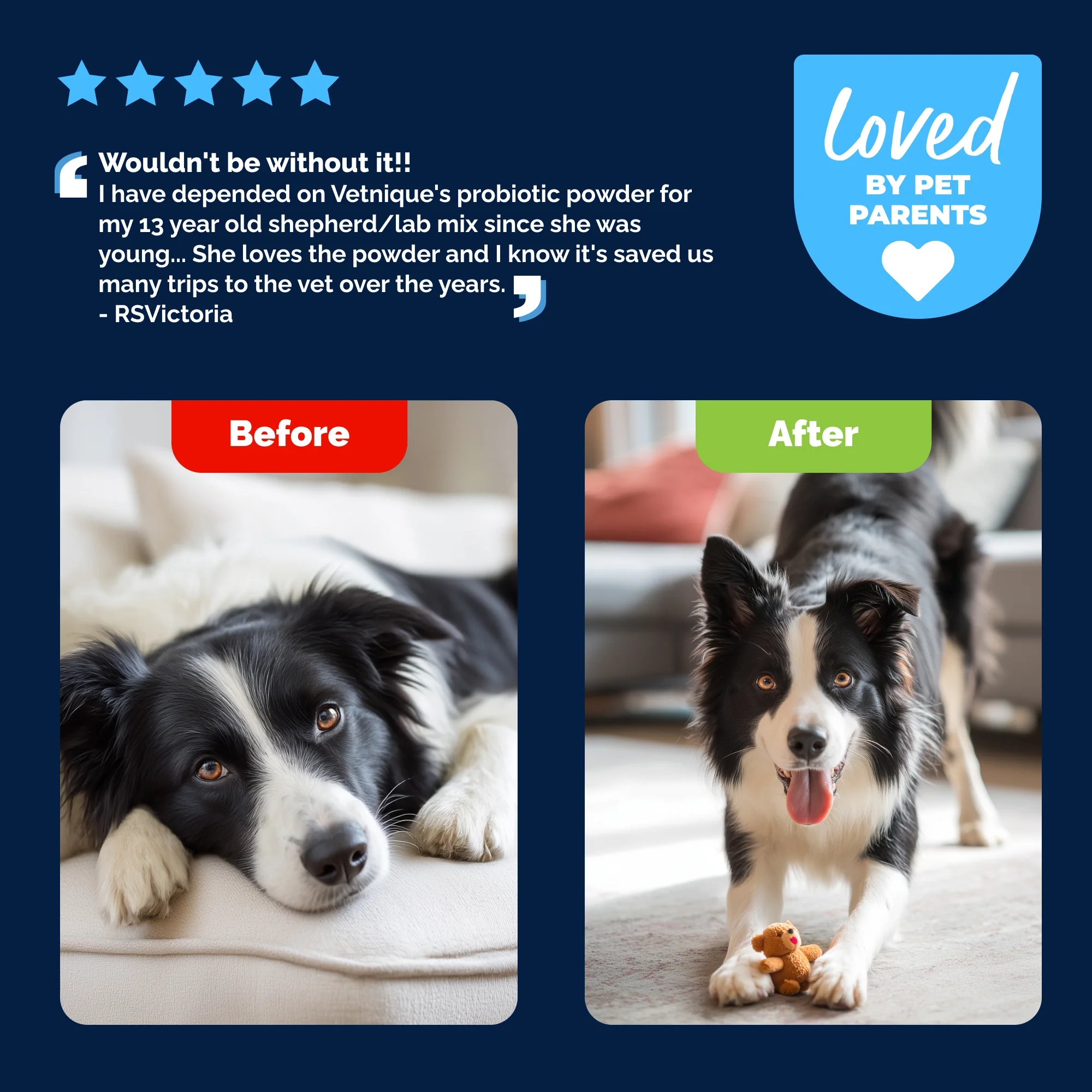 Glandex® Daily Prebiotic & Probiotic Powder for Dogs - Image 8