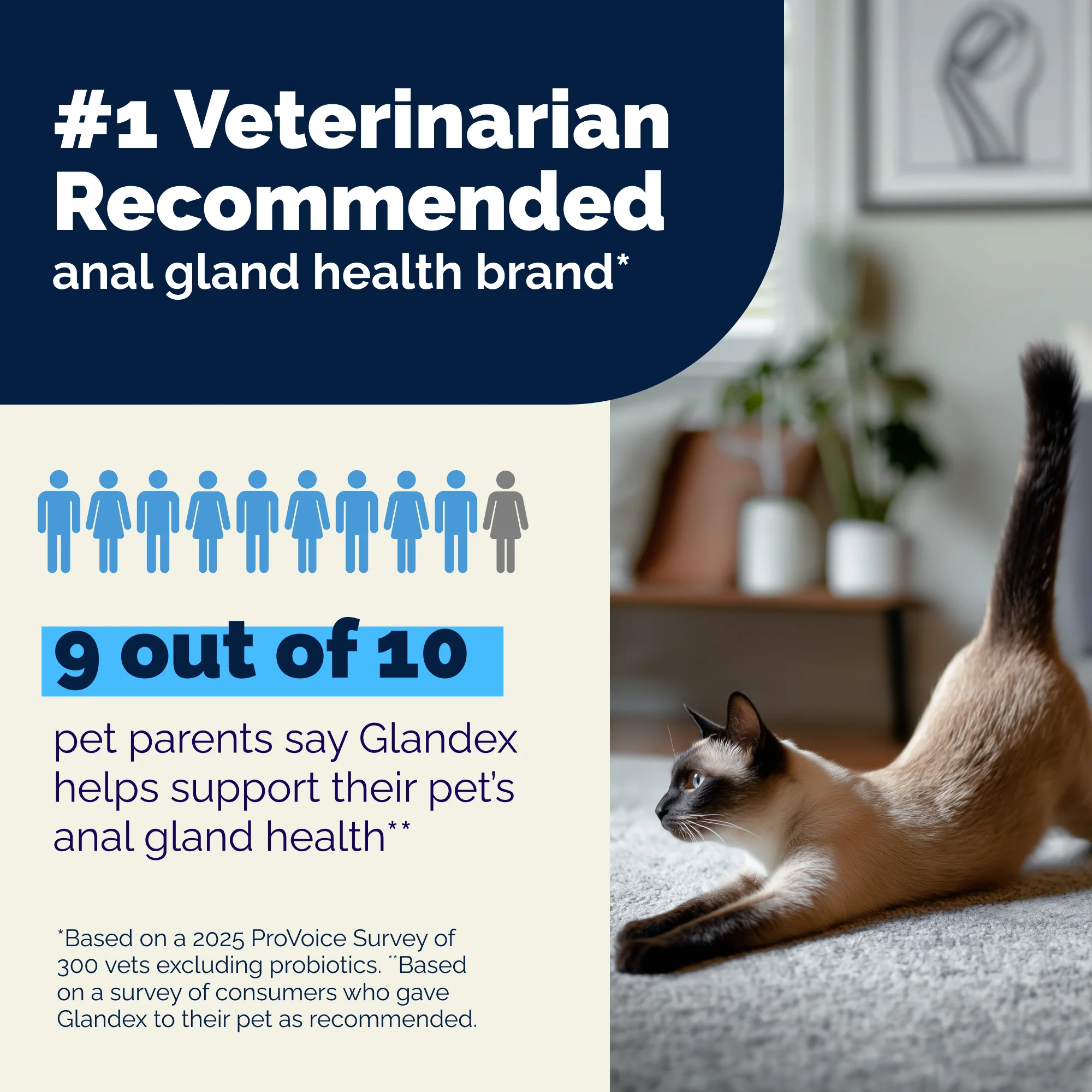 Glandex® Cat Anal Gland Health Supplement with Pumpkin - Image 3