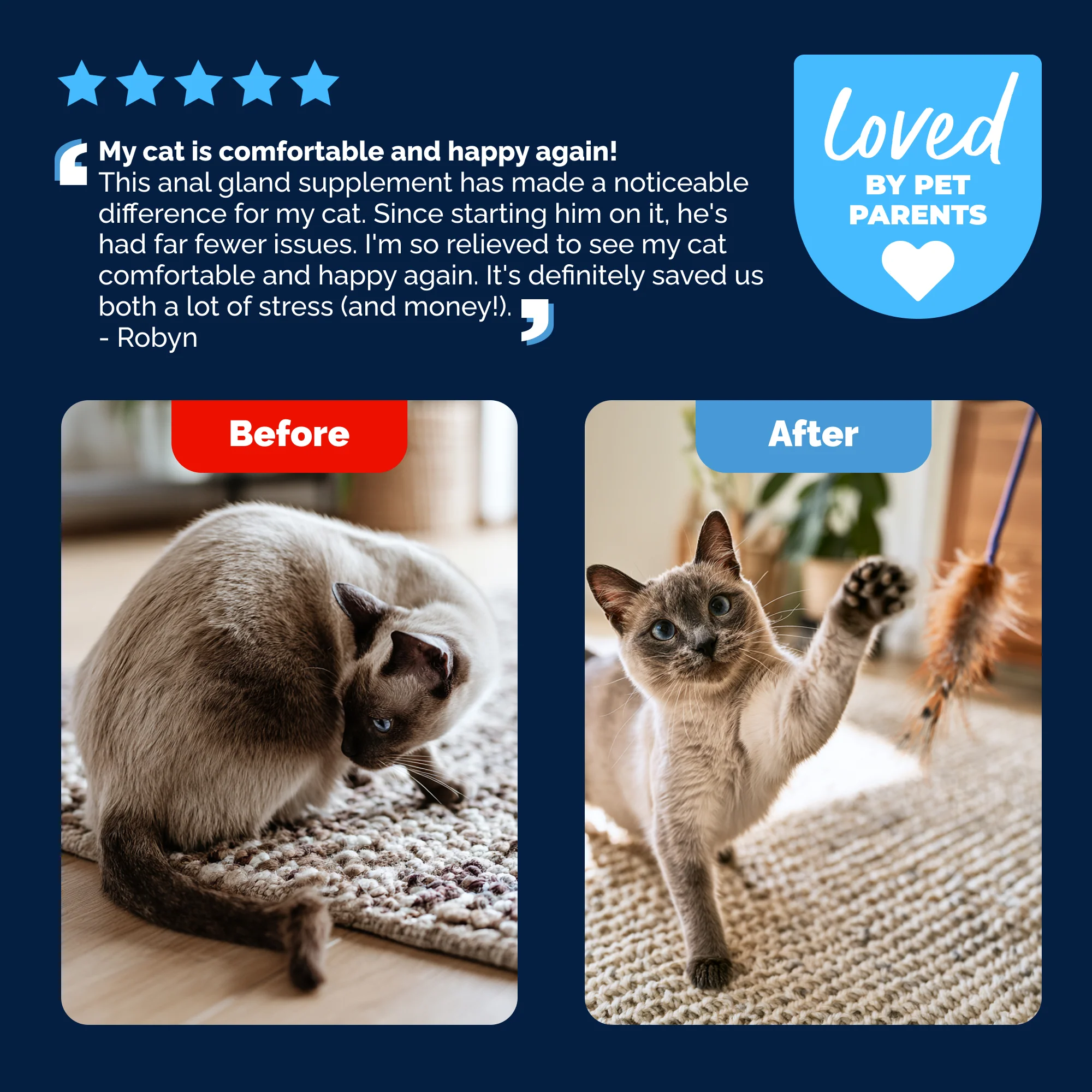 Glandex® Cat Anal Gland Health Supplement with Pumpkin - Image 7