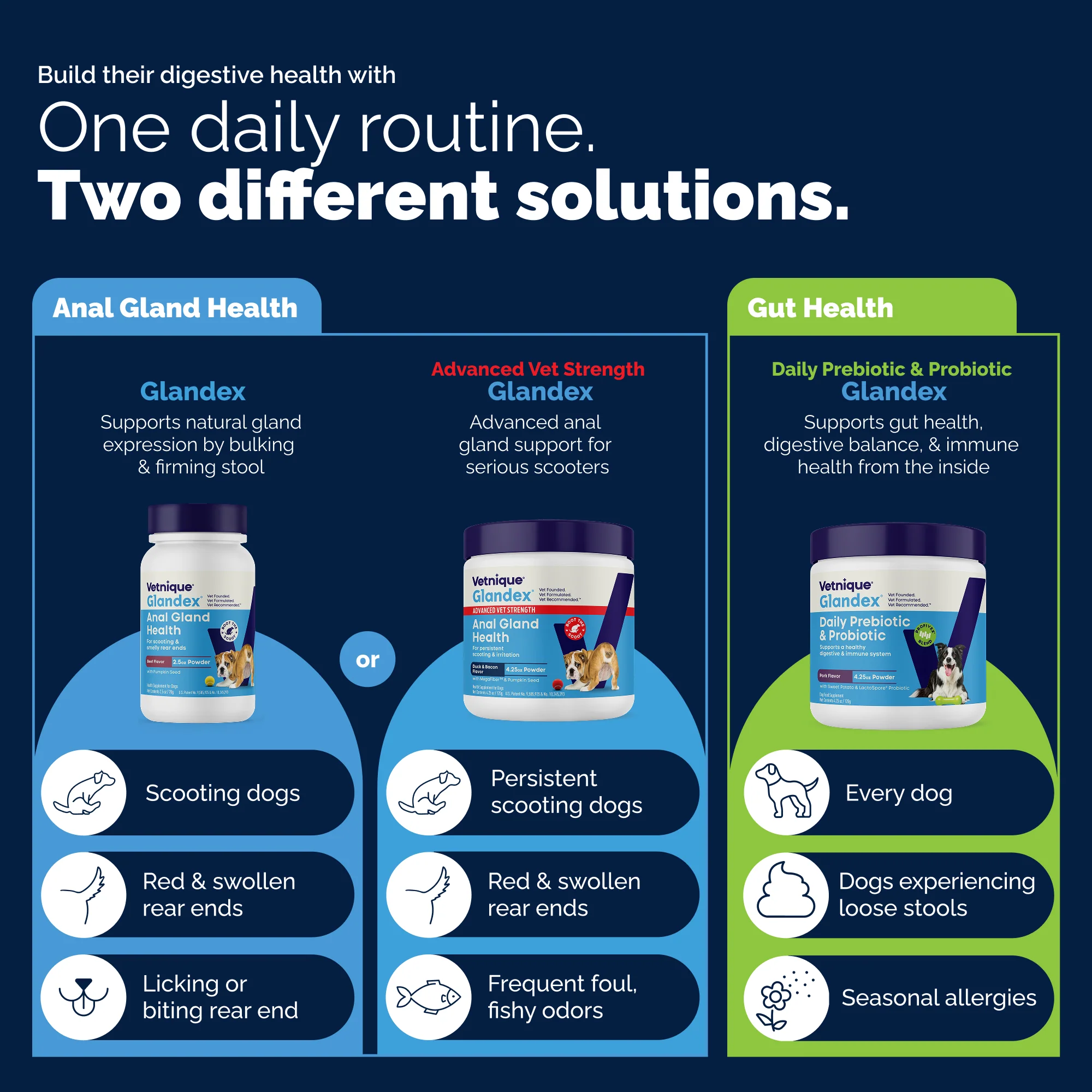 Glandex® Anal Gland Health Powder for Dogs & Cats - Image 8