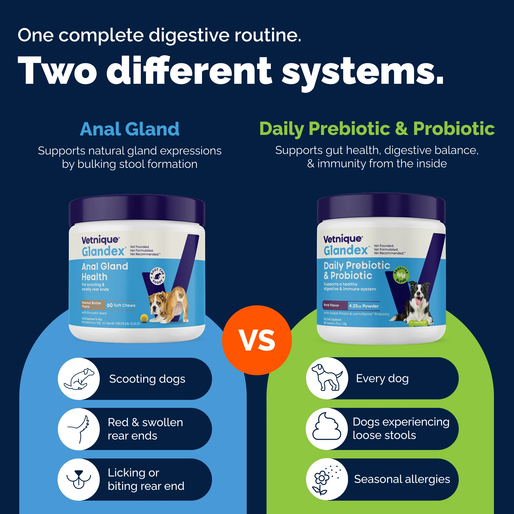Glandex® Daily Prebiotic & Probiotic Soft Chews - Image 11