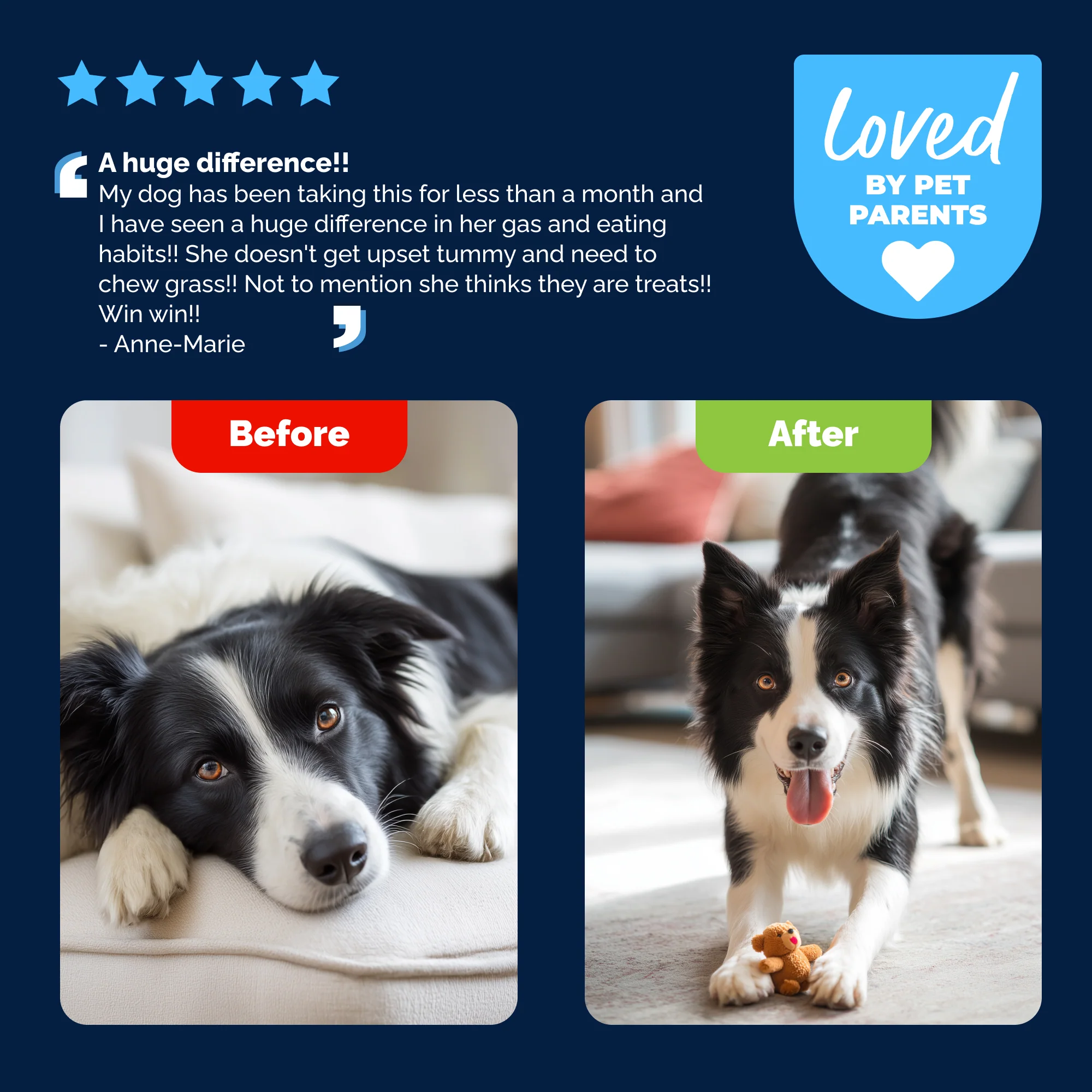 Glandex® Daily Prebiotic & Probiotic Soft Chews - Image 8