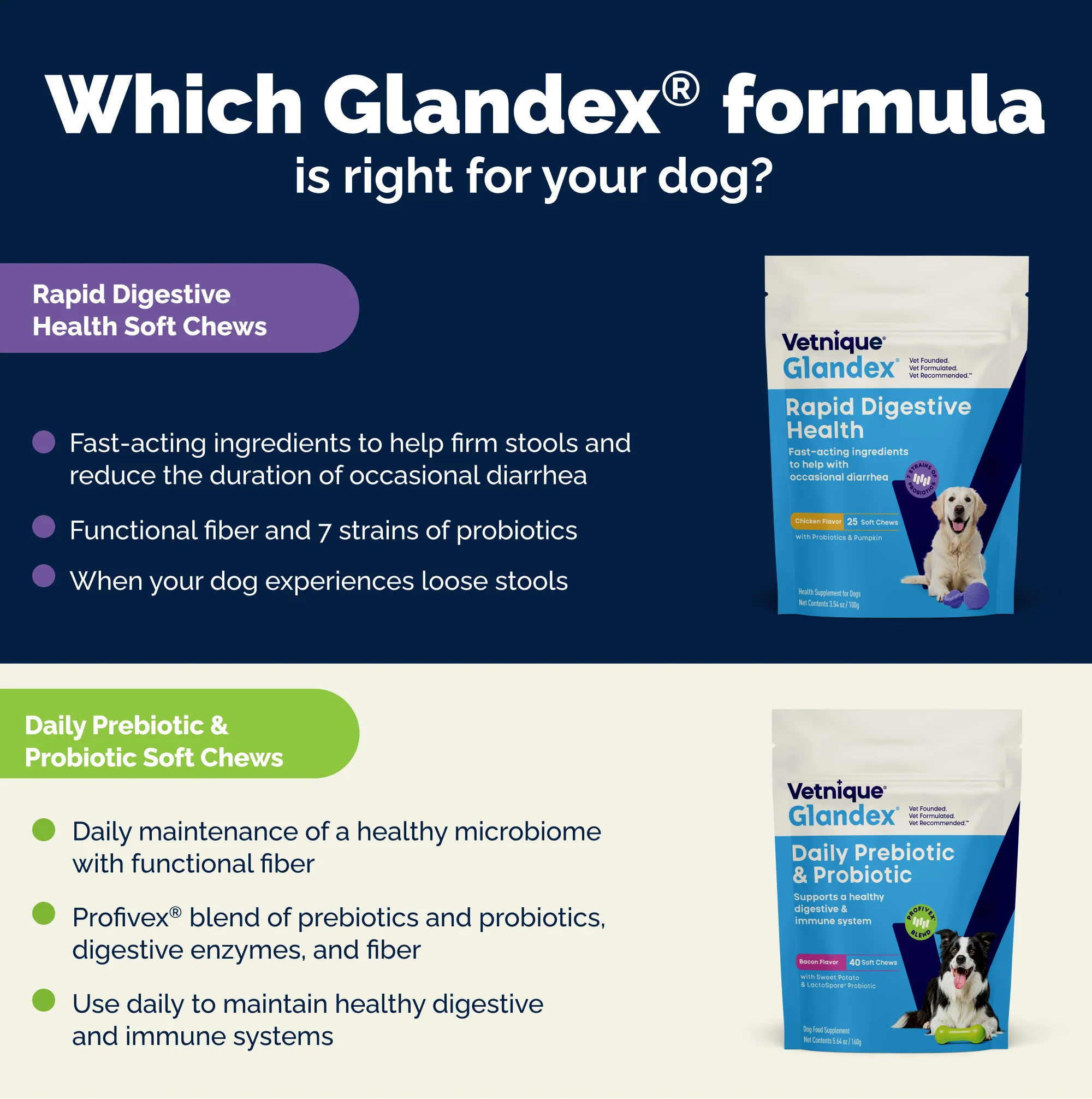 Glandex® Rapid Digestive Support Chews for Dogs - Image 6
