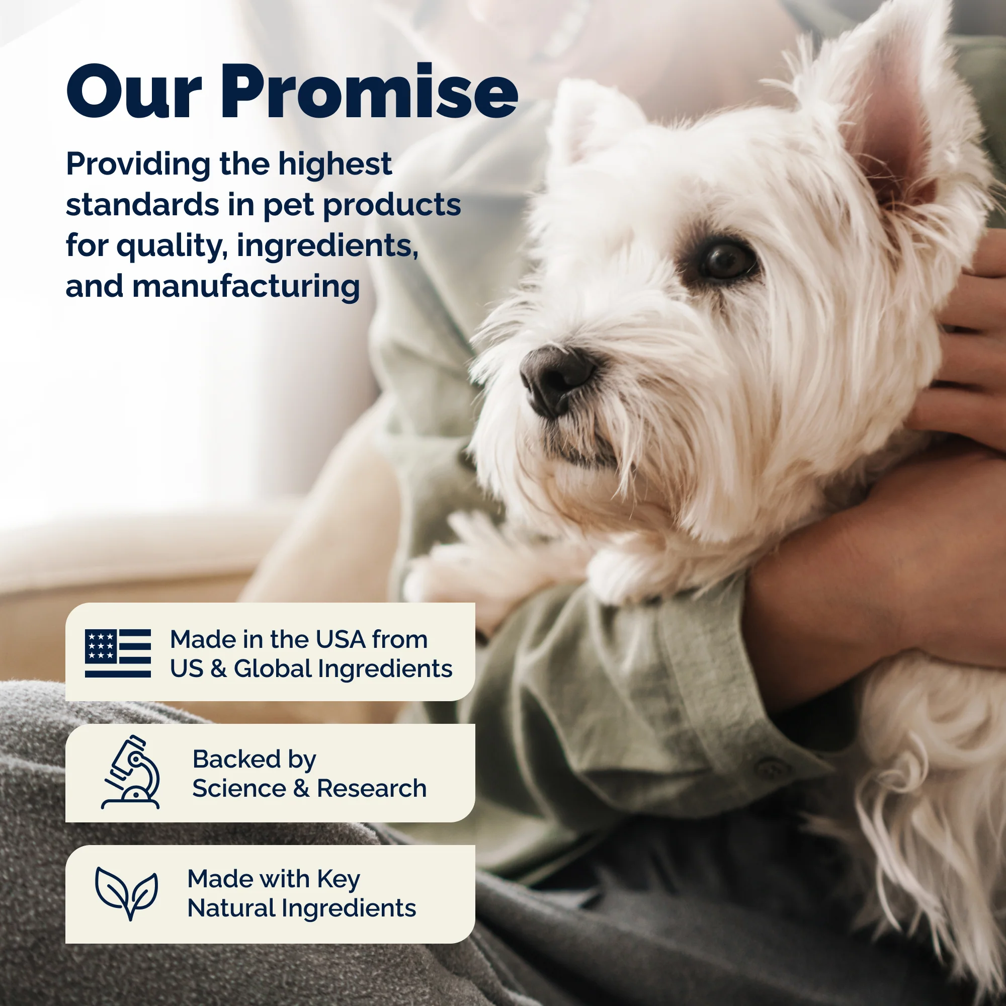 Glandex® Rapid Digestive Support Chews for Dogs - Image 9
