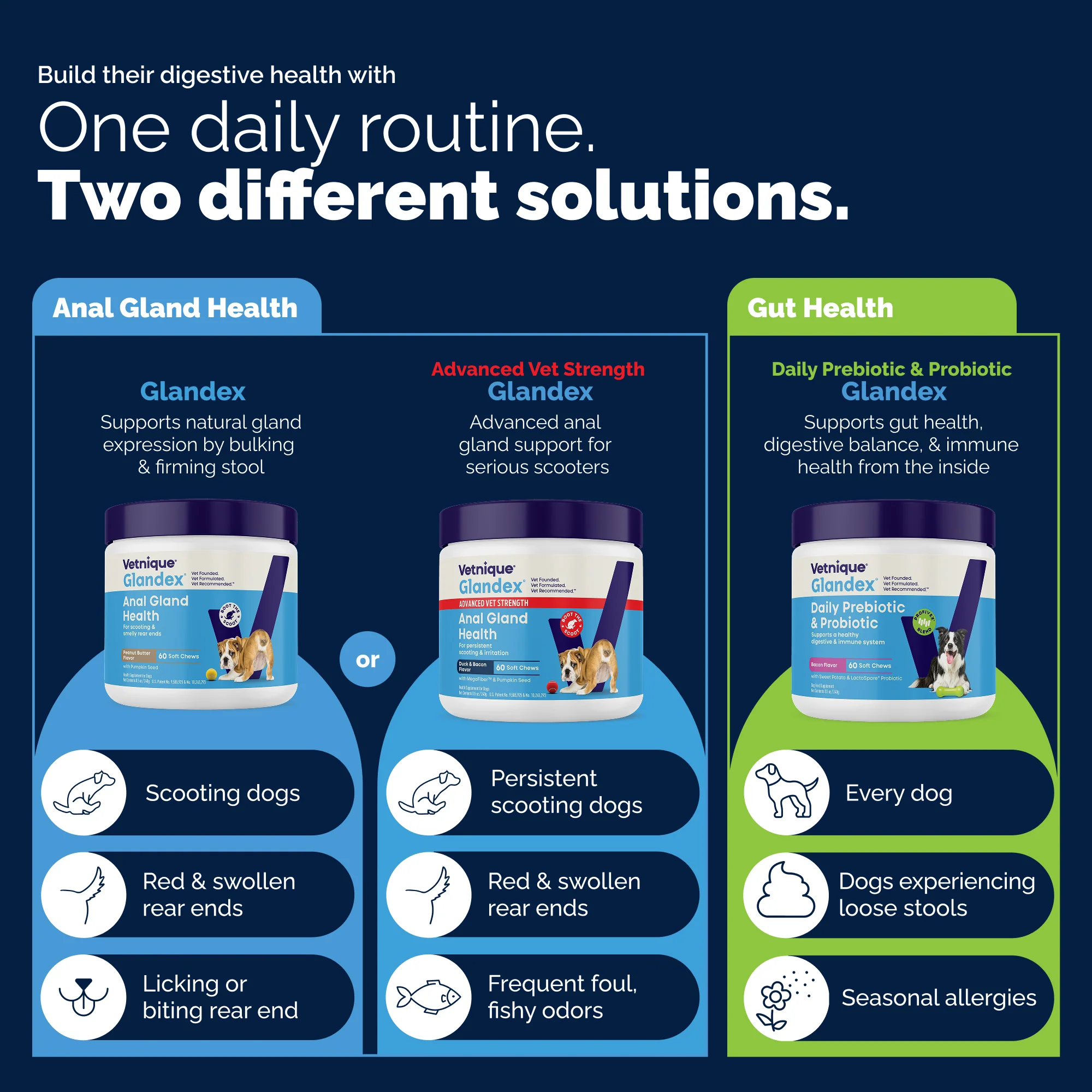 Glandex® Anal Gland Health Soft Chews for Dogs - Image 10