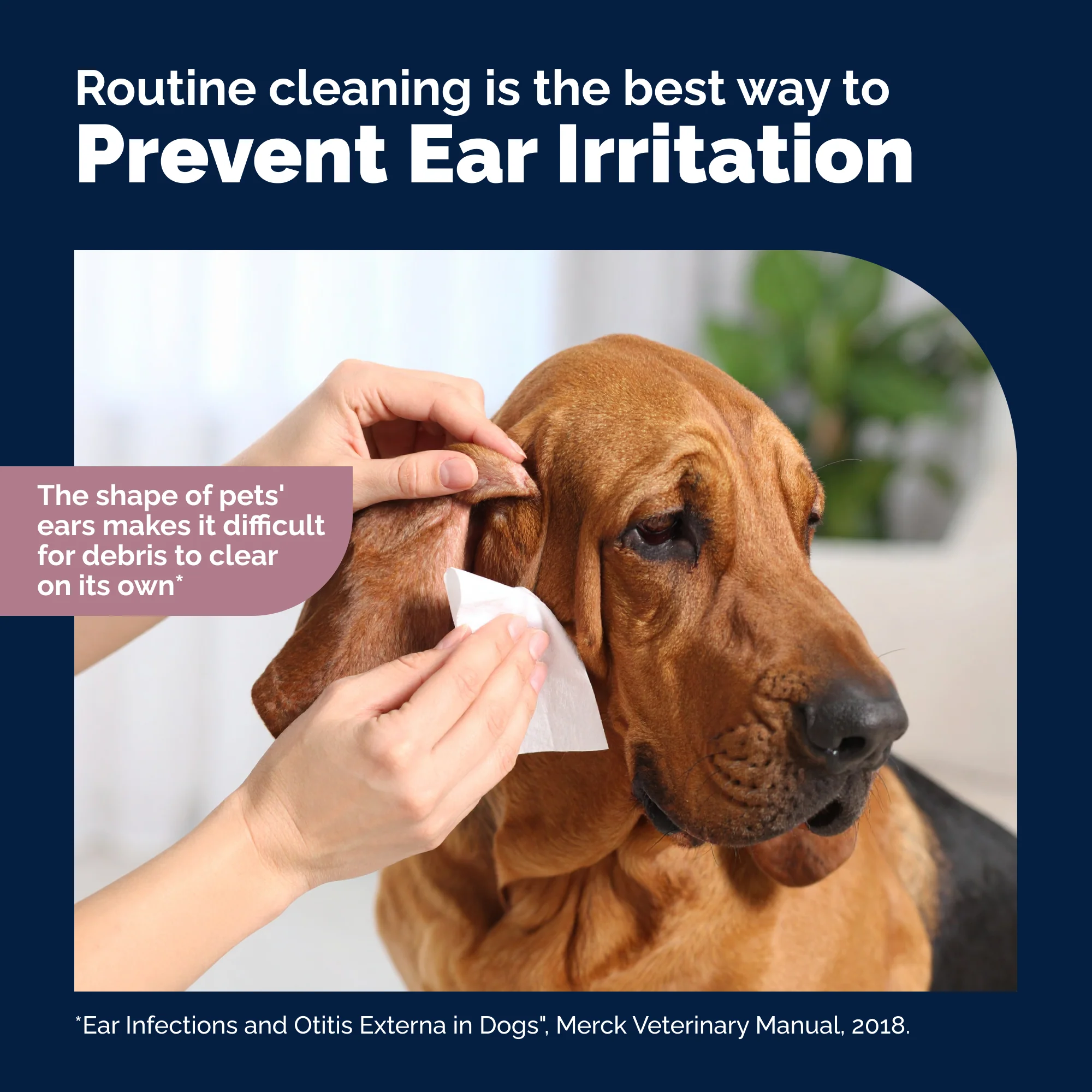 OticBliss™ Ear Cleaning X-Large Wipes - Image 10