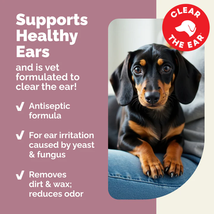 Oticbliss™ Advanced Vet Strength Medicated Ear Flush - Image 4