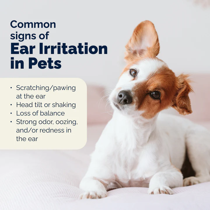 Oticbliss™ Advanced Vet Strength Medicated Ear Flush - Image 7