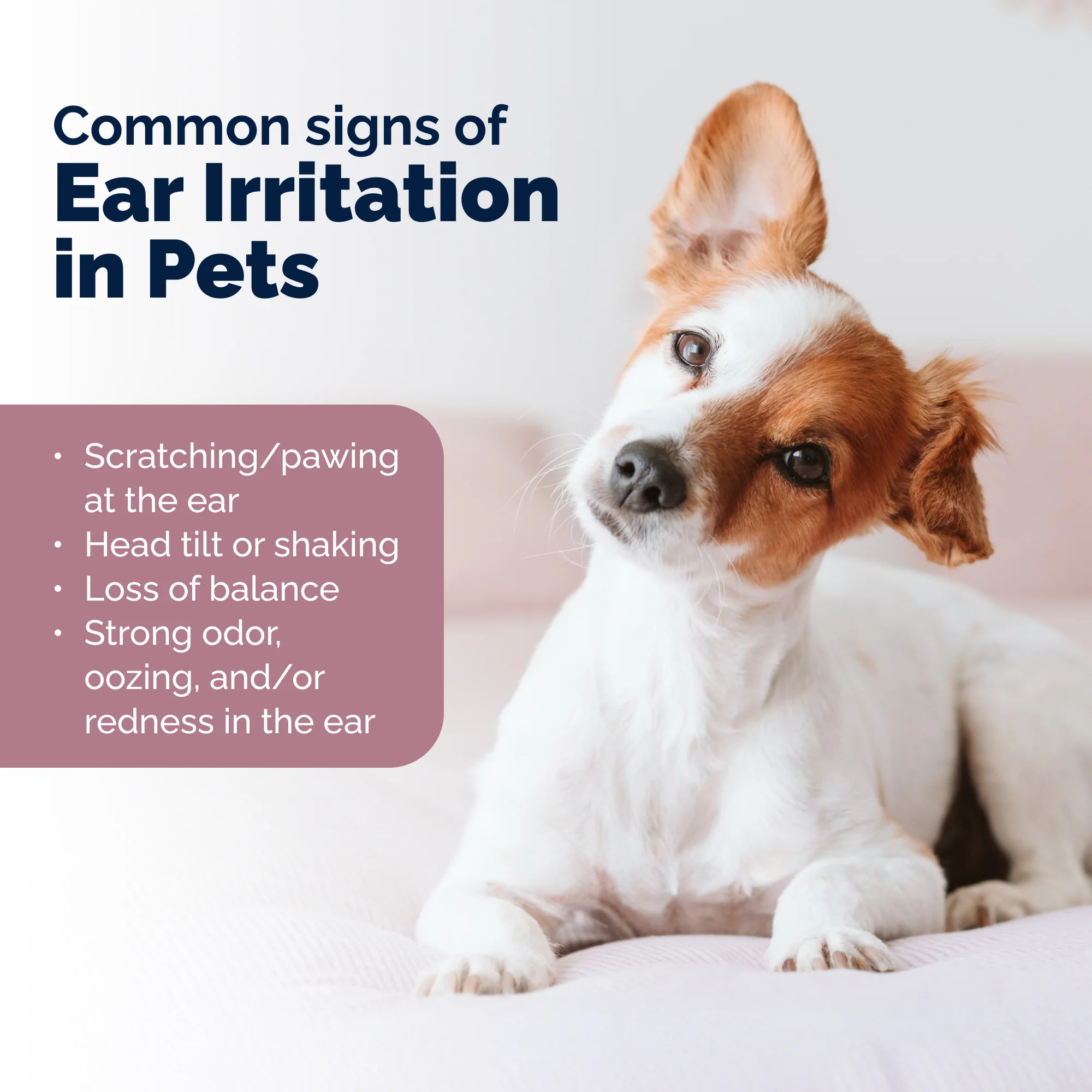 OticBliss™ Ear Cleaning Finger Mitts - Image 7