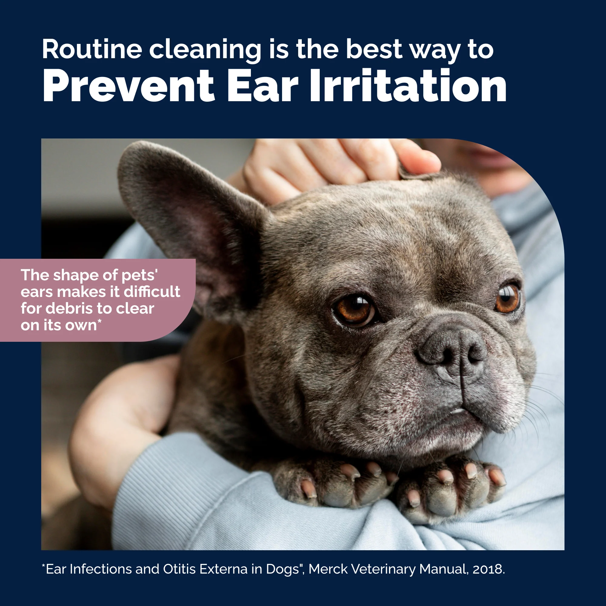 OticBliss™ Ear Cleaning Flush - Image 7