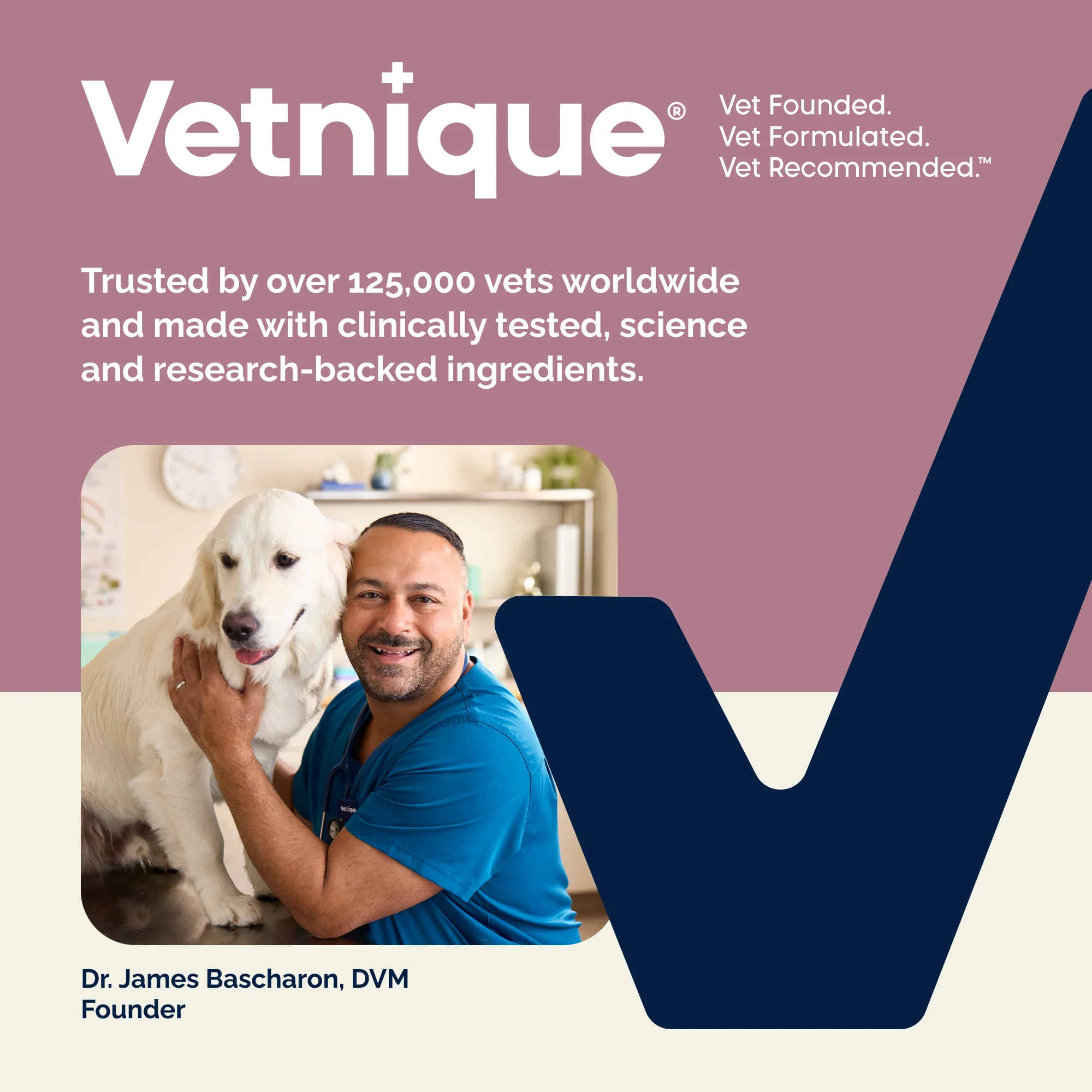 OticBliss™ Advanced Vet Strength Allergy Ear Drops for Dogs and Cats - Image 11