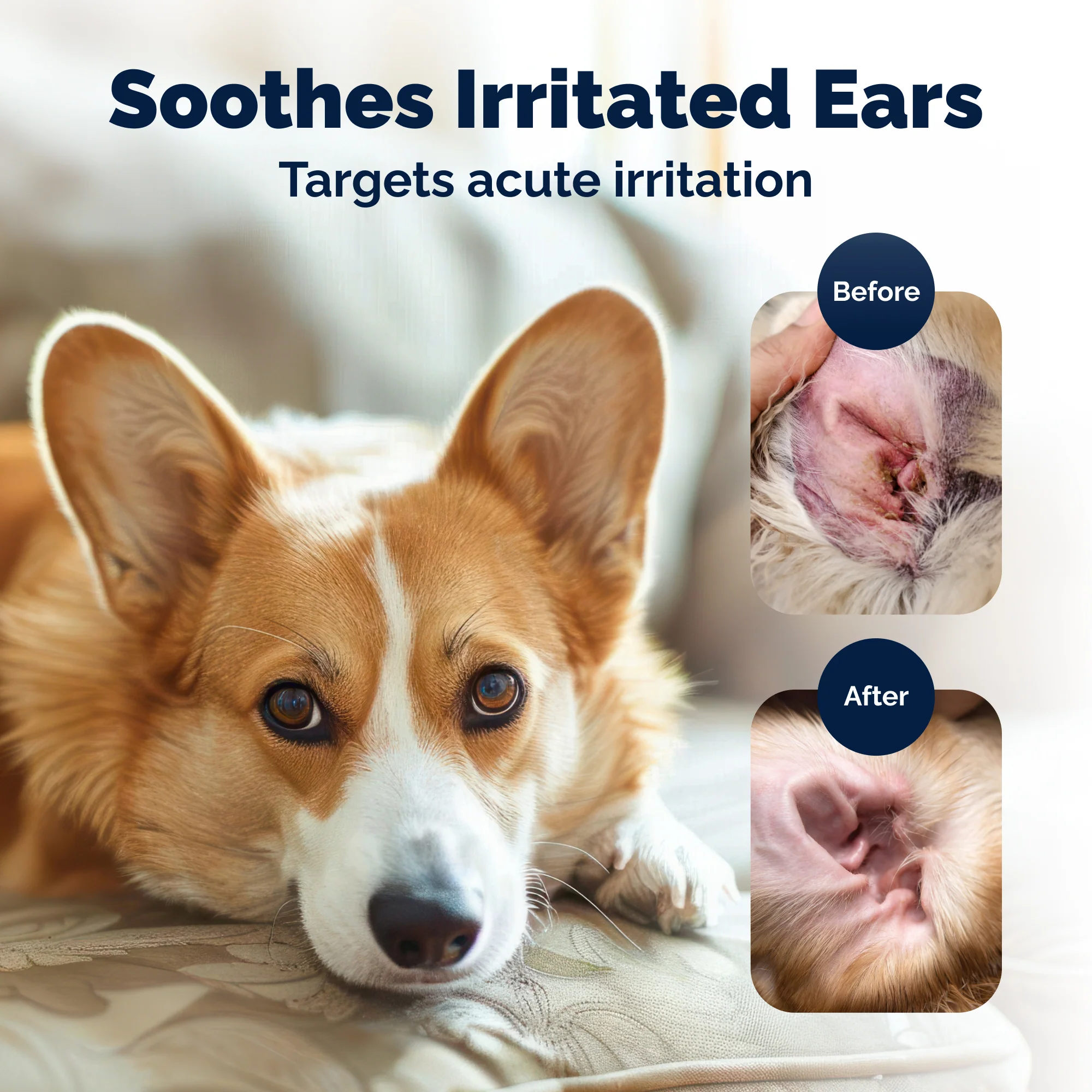 OticBliss™ Advanced Vet Strength Allergy Ear Drops for Dogs and Cats - Image 5