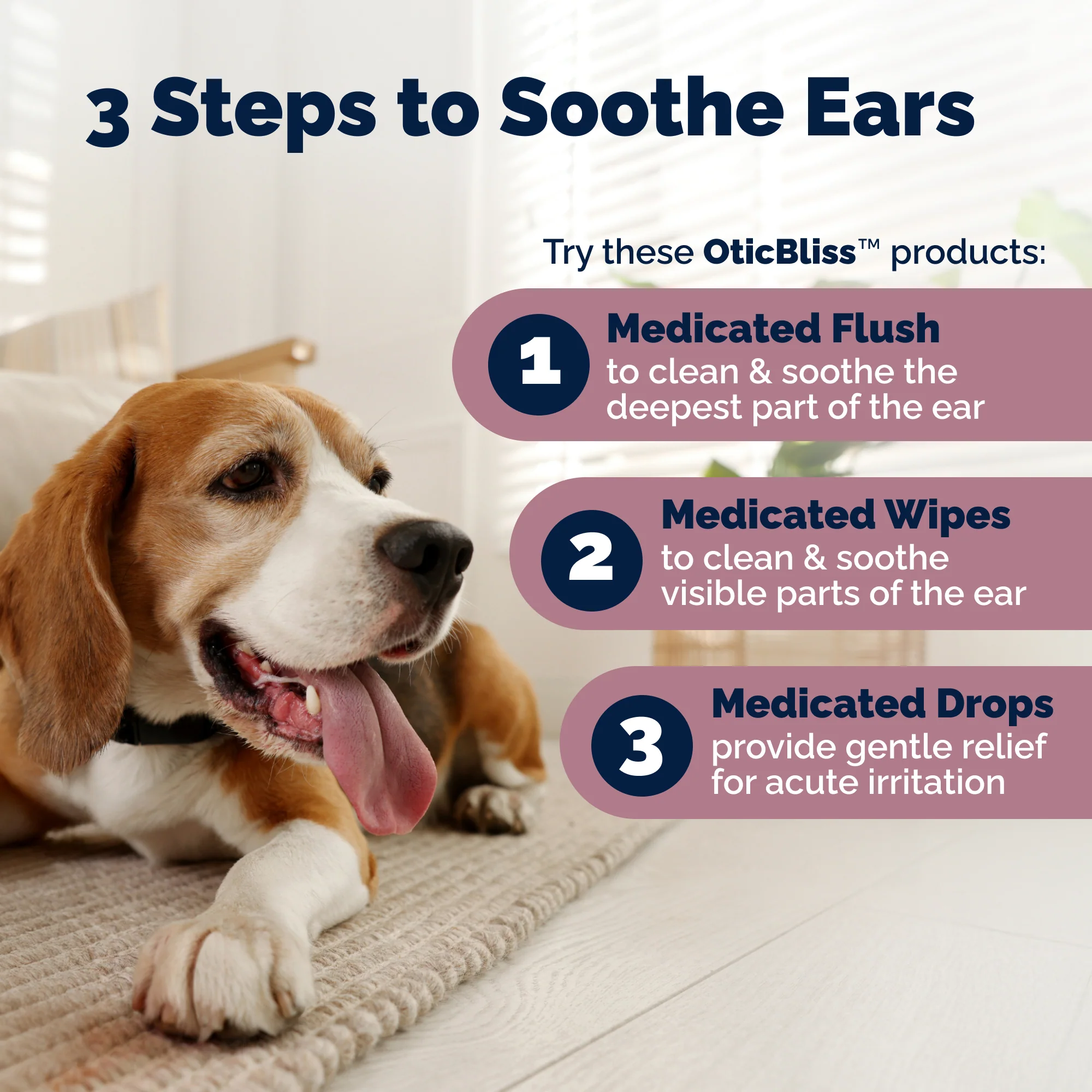 OticBliss™ Advanced Vet Strength Allergy Ear Drops for Dogs and Cats - Image 7