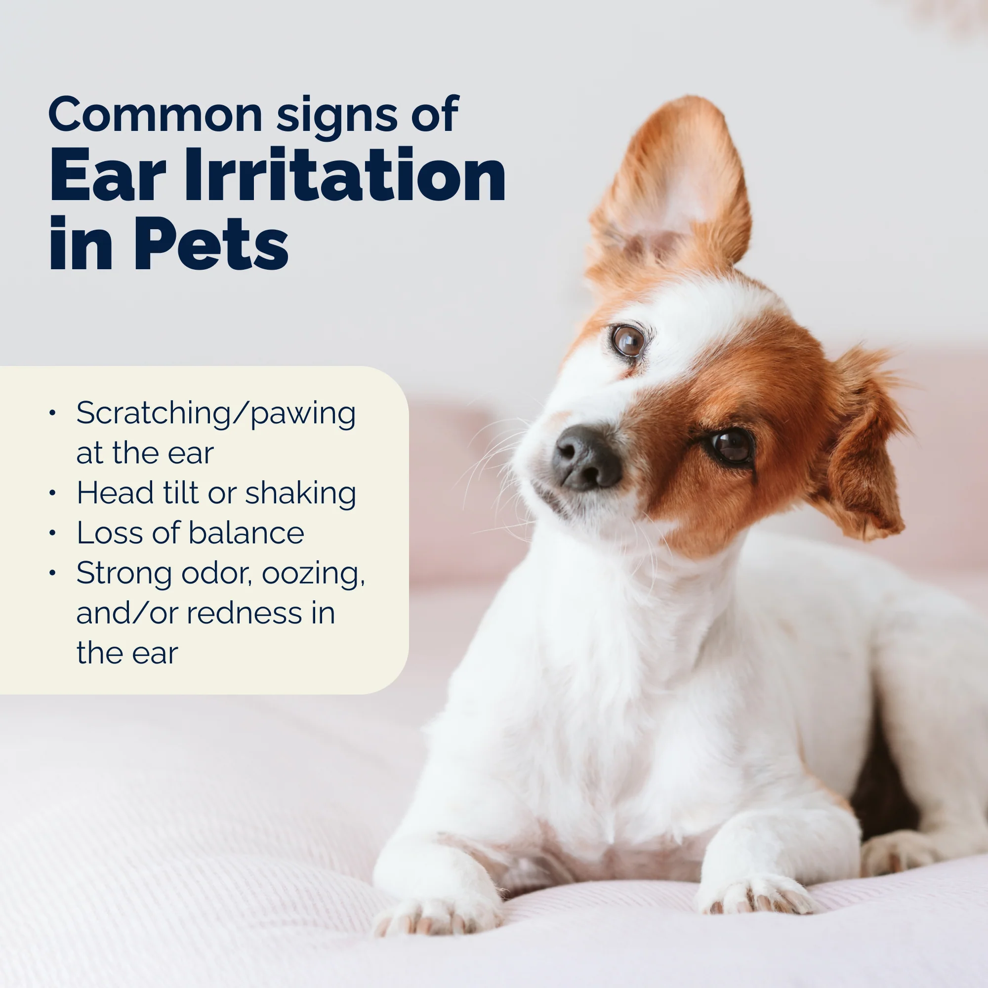 OticBliss® Advanced Vet Strength Medicated Ear Drops with MicroSilver BG ™ - Image 5