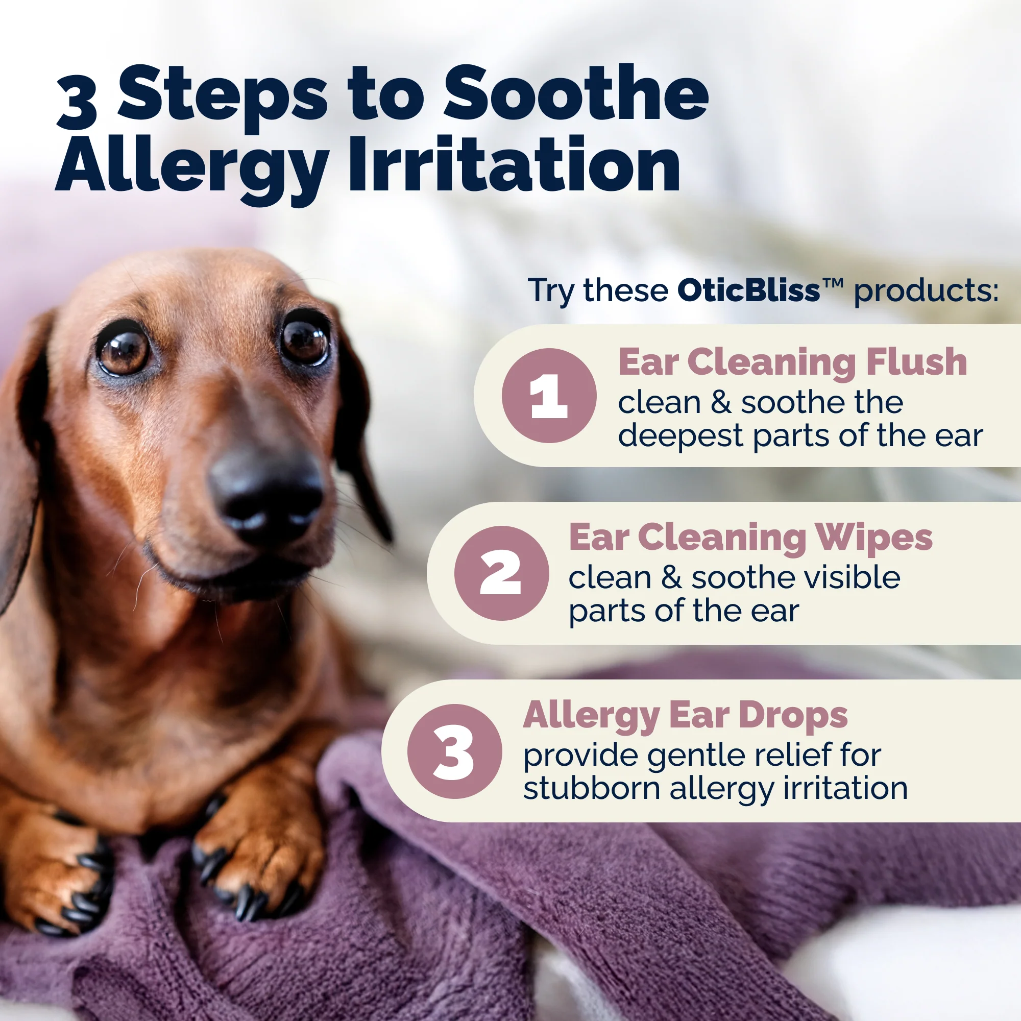 OticBliss® Advanced Vet Strength Medicated Ear Drops with MicroSilver BG ™ - Image 7
