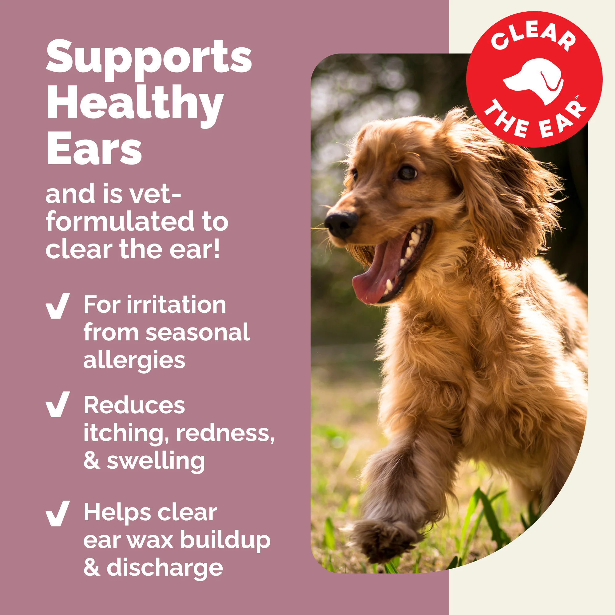 OticBliss® Advanced Vet Strength Medicated Ear Drops with MicroSilver BG ™ - Image 9