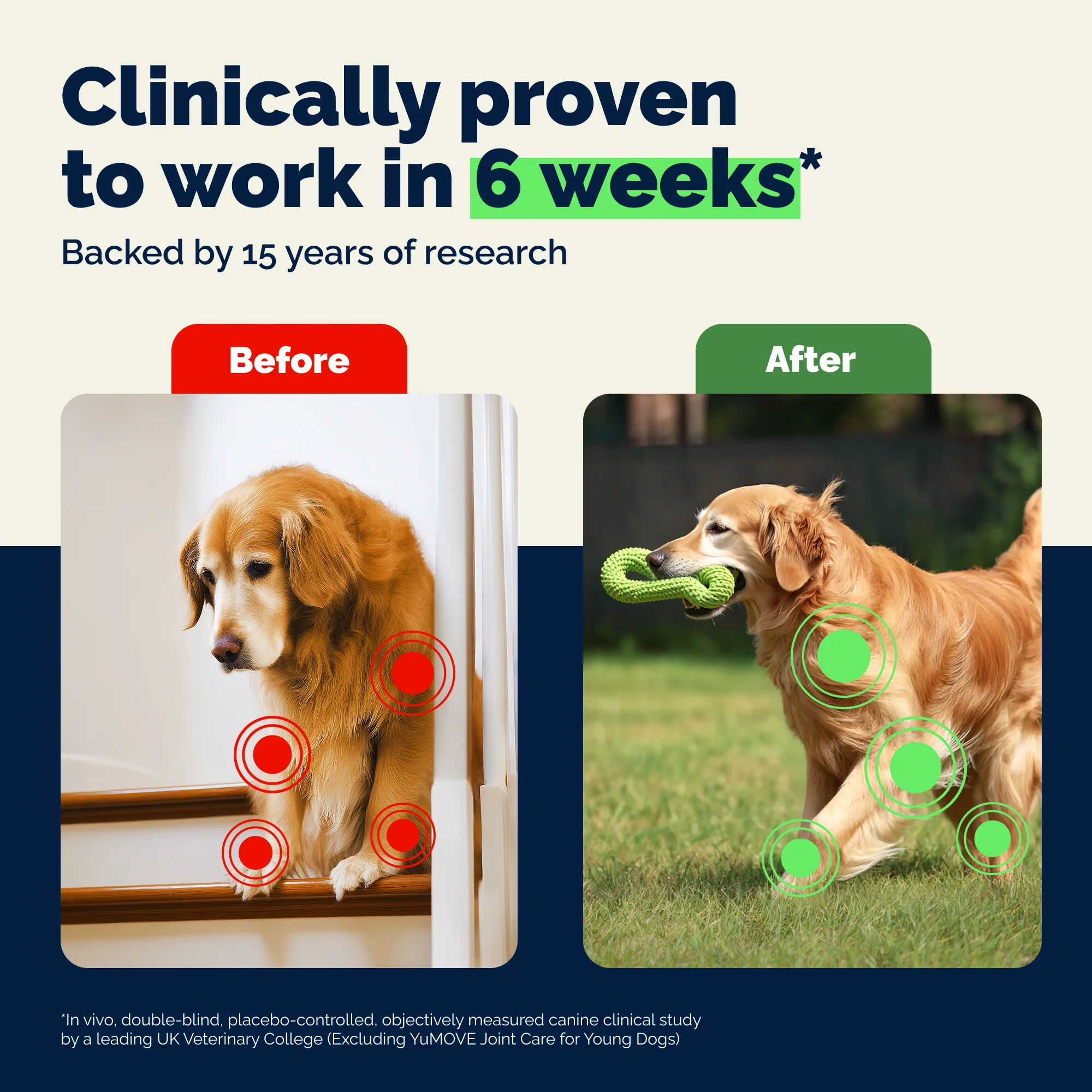 YuMOVE Advanced Vet Strength Hip & Joint Health Chews - Image 4