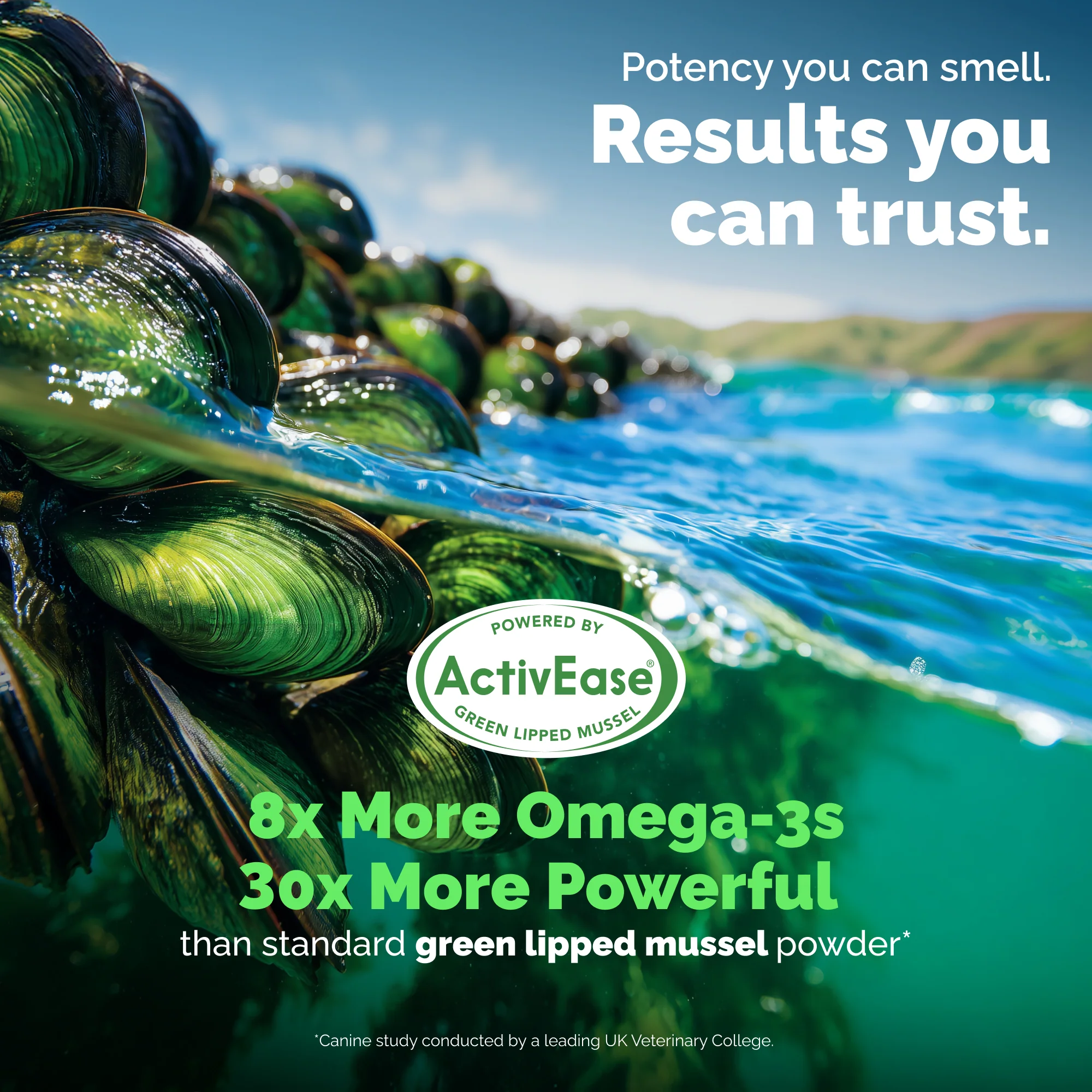 YuMOVE Advanced Vet Strength Hip & Joint Health Chews - Image 6