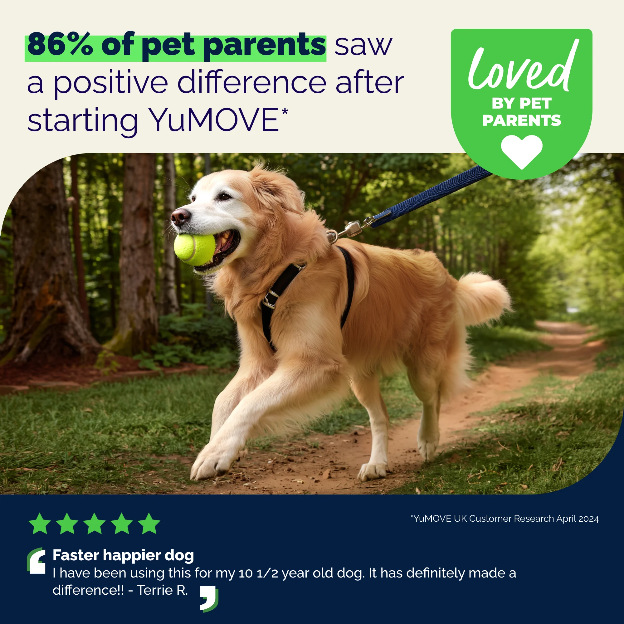 YuMOVE Advanced Vet Strength Hip & Joint Health Tablets - Image 9