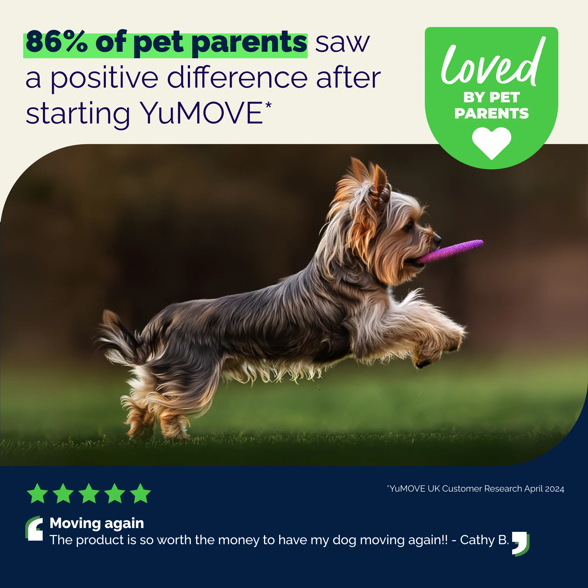 YuMOVE Hip & Joint Health for Small Dogs - Image 9