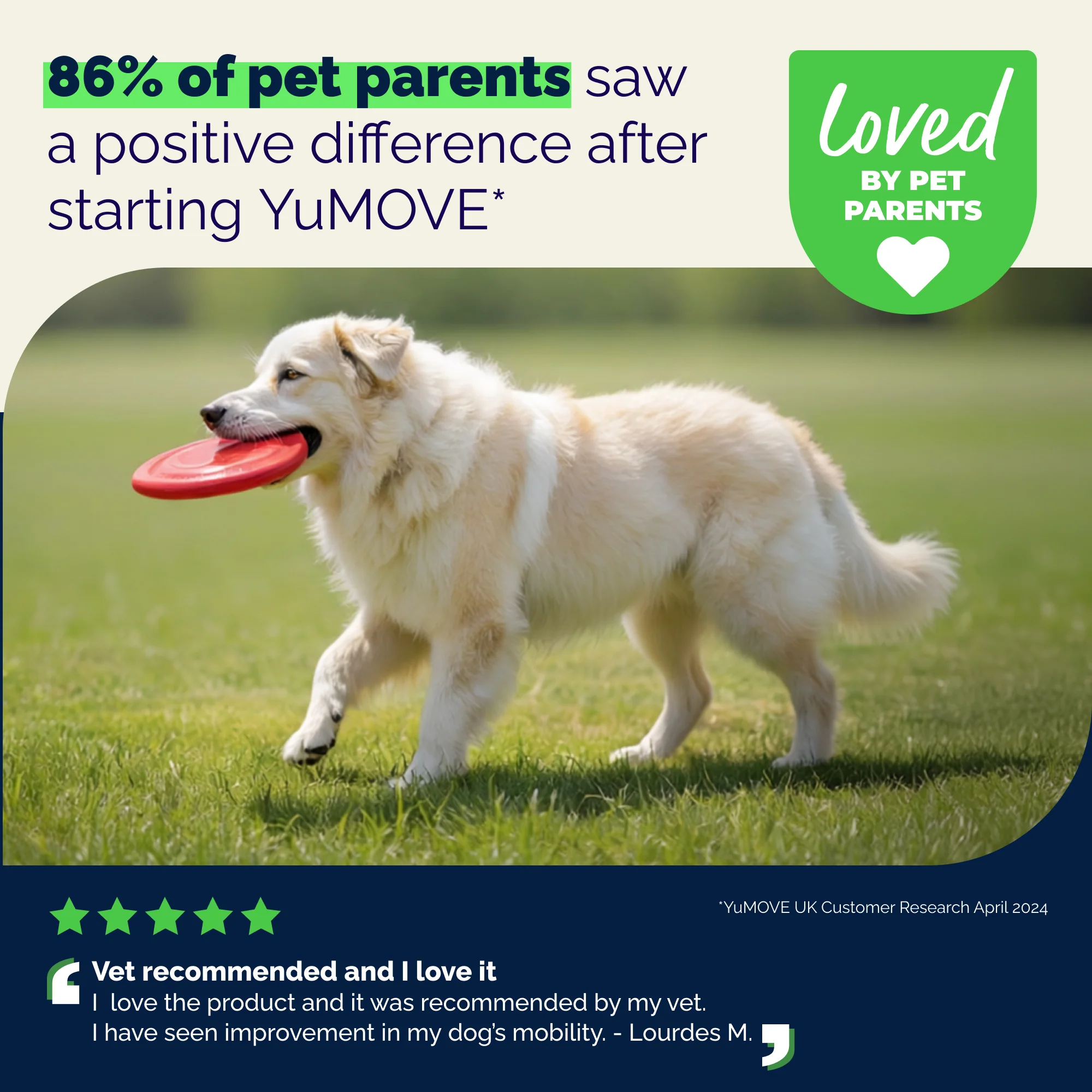 YuMOVE Hip & Joint Health for Extra-Large Dogs - Image 9